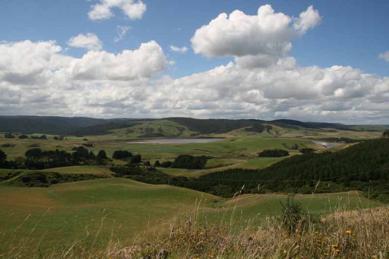 Nieuw-Zeeland 2011 - 1791